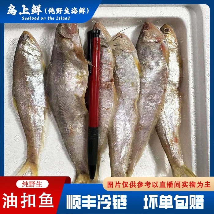 【每份4斤-油扣鱼】毛扣鱼/各别破肚不影响食用/嫌小别拍/