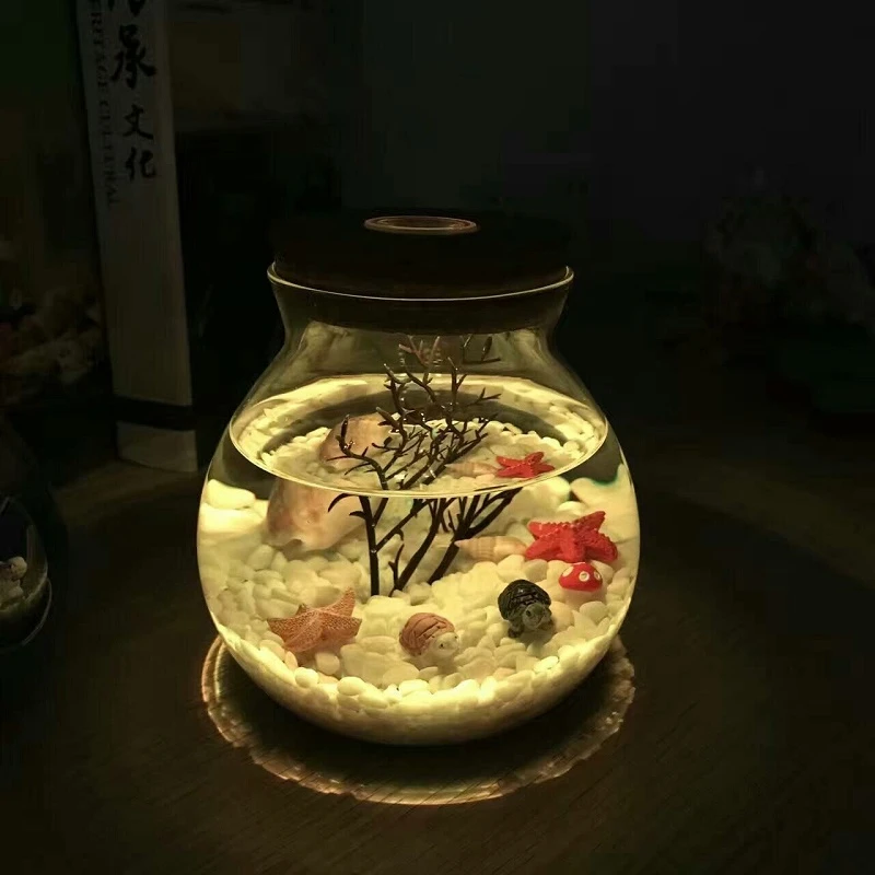 海藻球观赏活体真水草微景观生态瓶懒人护眼水态宠物桌面摆件