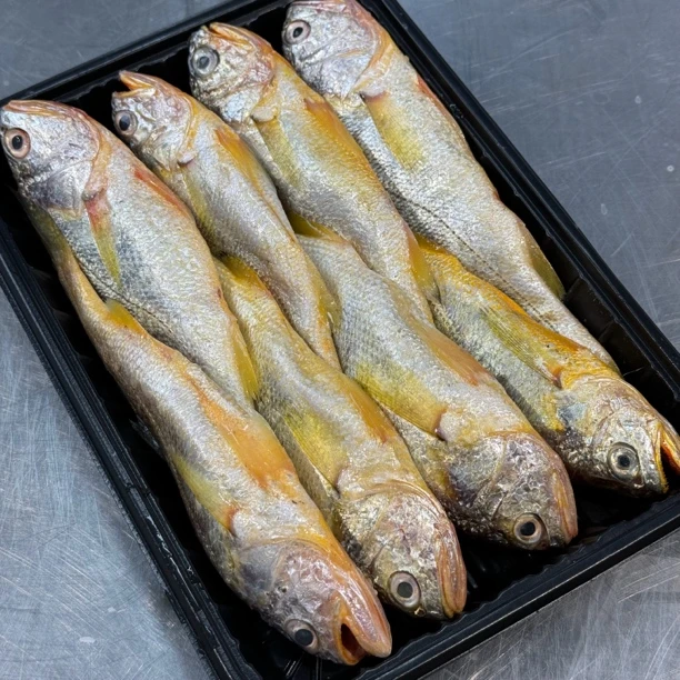 野生黄鱼  小黄鱼   8月开捕  冷冻发货  顺丰包邮