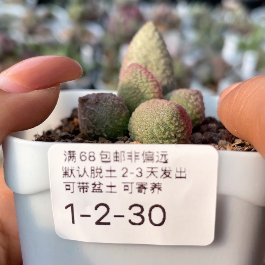 【闪购商品】?***蕾       香水
