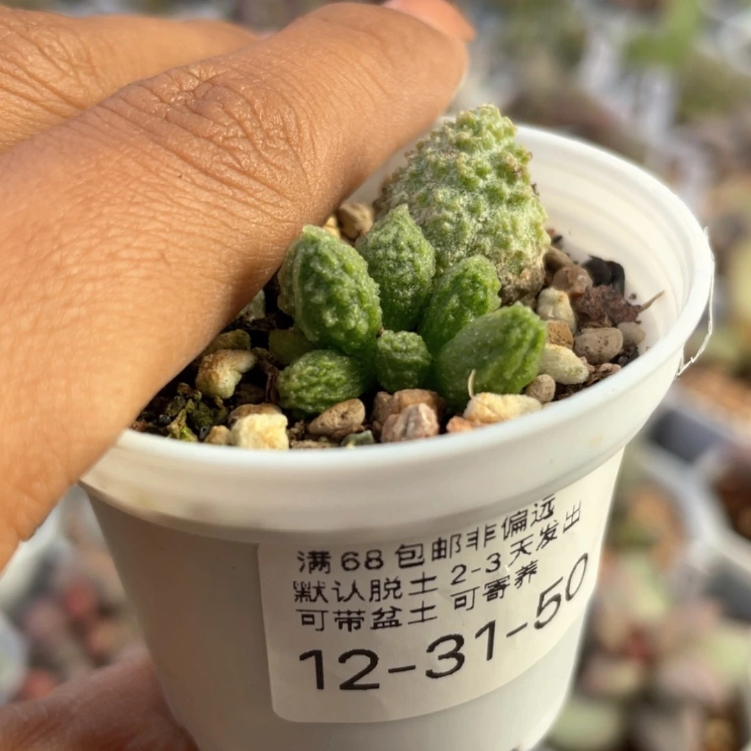 【闪购商品】