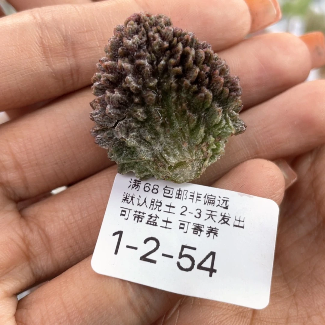 【闪购商品】