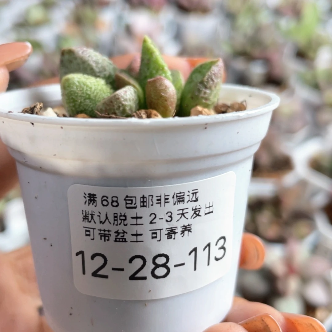 【闪购商品】