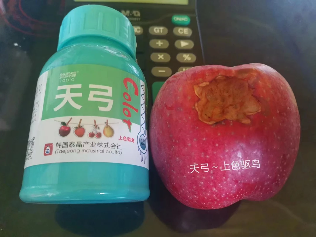 苹果摘袋后，驱鸟还上色 ，只喷施果子，持效期十二天。拍二发四（钙）