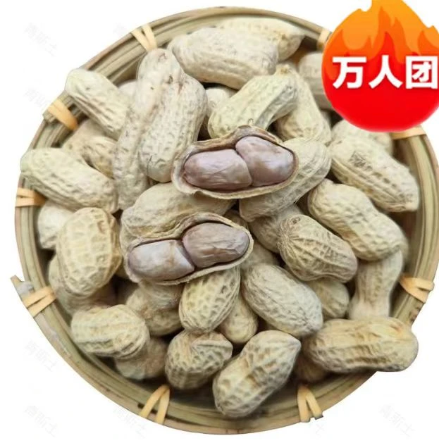 客家特产水煮咸干花生软糯鲜香即食健康零食解馋食品坚果