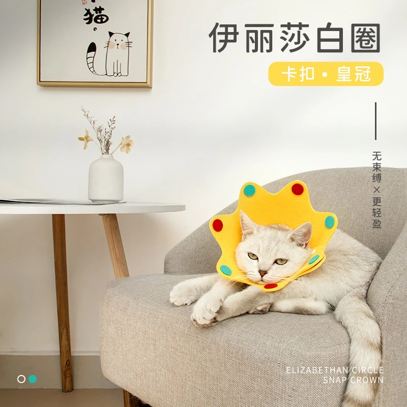 星奇趣伊丽莎白圈猫咪绝育项圈伊利沙白圈防舔颈圈脖圈狗宠物用品