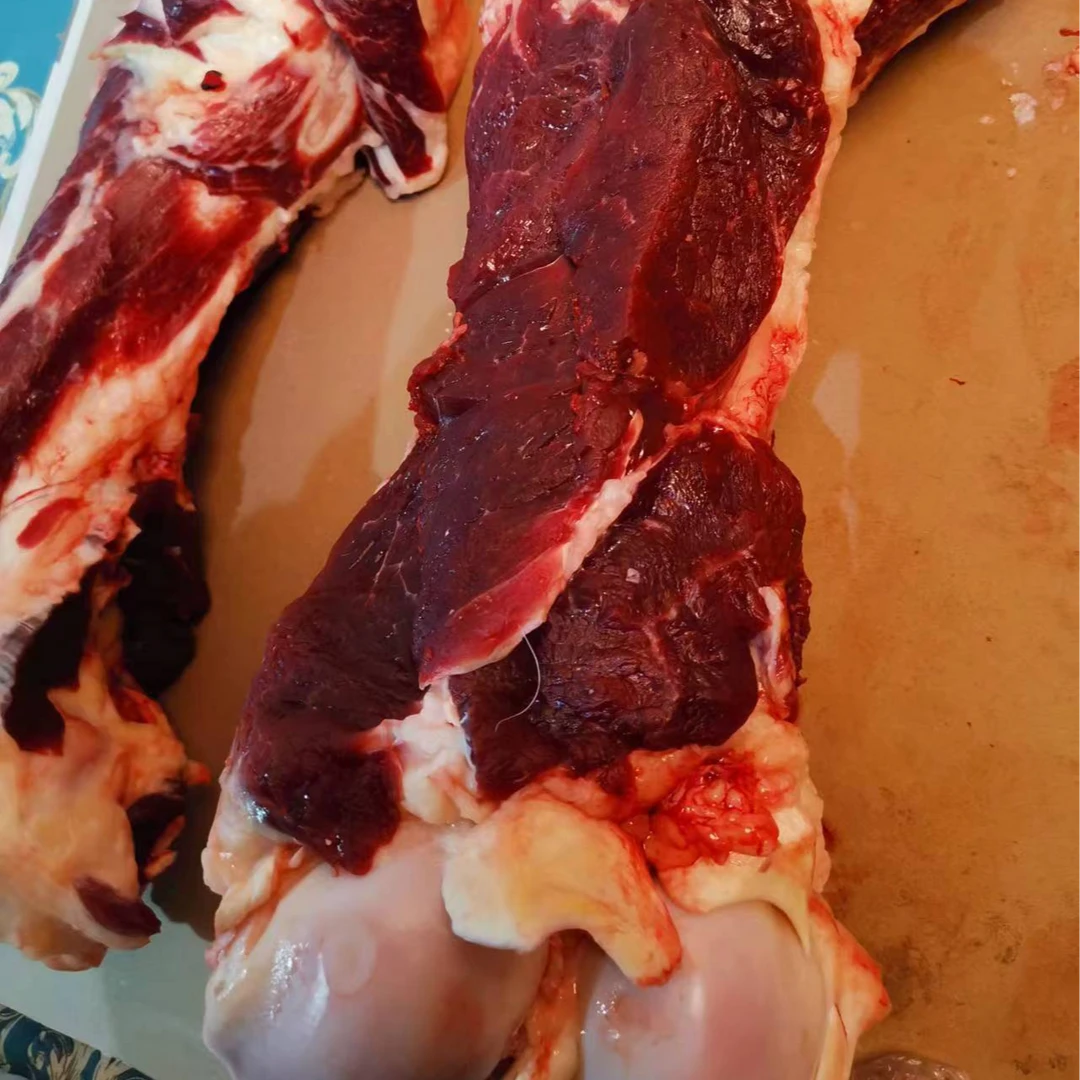 【多肉大棒骨】牛大棒骨新鲜发货草原溜达牛