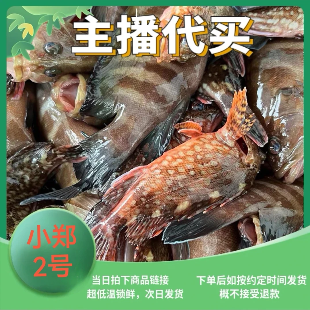 海陵岛渔民档代买现场称1-100斤（现称改链接上架真空包装）新鲜