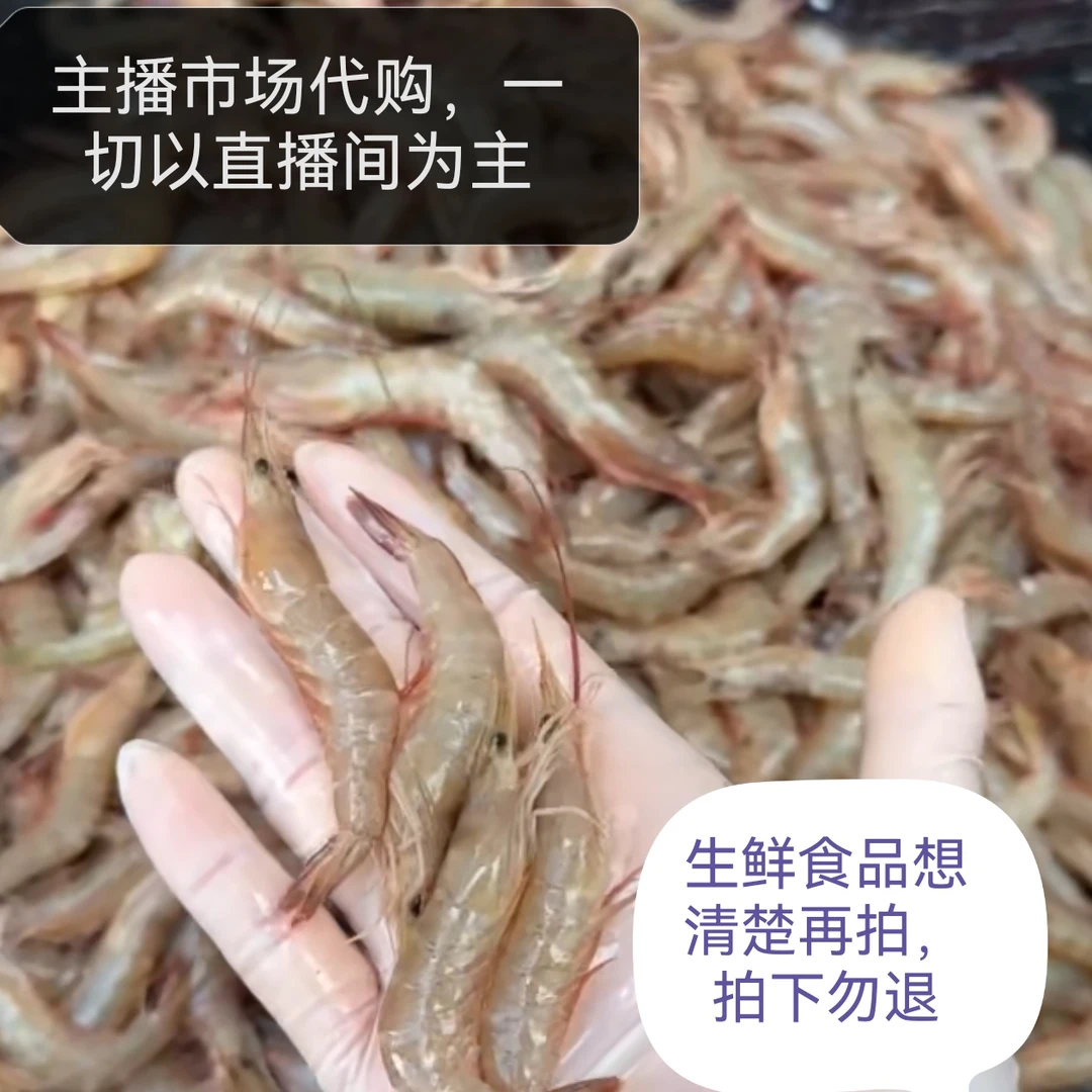 主播代购现场近海拖网小麻虾新鲜靓水真空包装