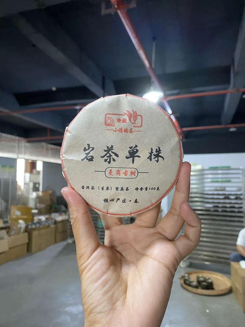 单株2024年春.普洱茶生茶100克