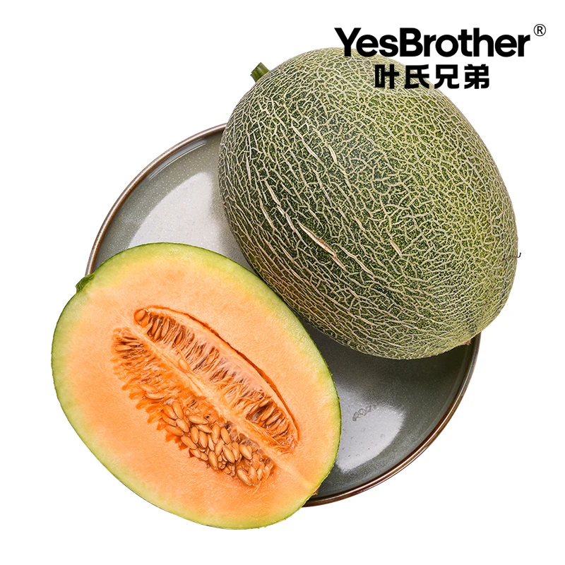 【1个】脆甜蜜瓜 3斤