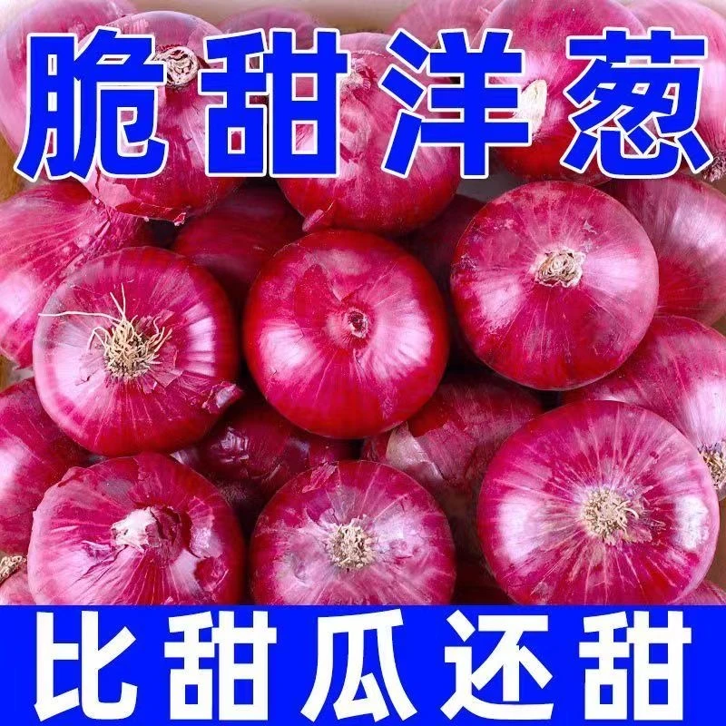 洋葱新鲜紫皮红皮黄皮深紫元葱5斤10斤现挖圆葱头农家3斤批发蔬菜