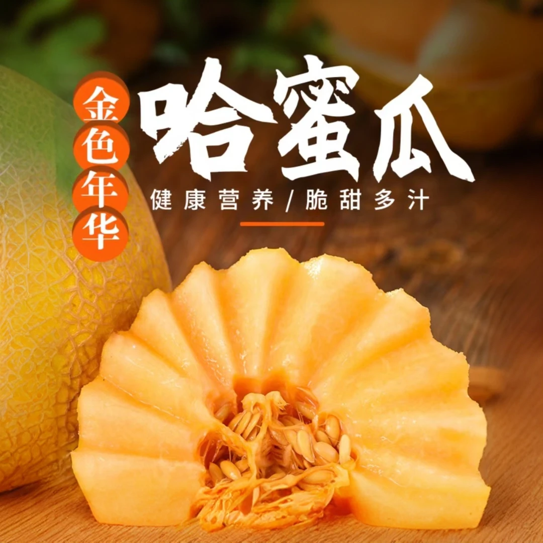 【新疆直发】正宗金色年华哈密瓜产地现摘直发脆甜多汁包邮坏果包赔