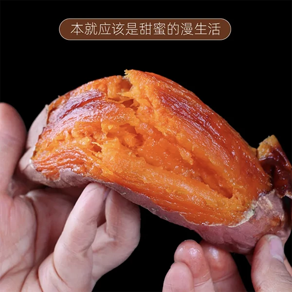山东正宗烟薯25号 糖心流油蜜薯 中果 五斤装