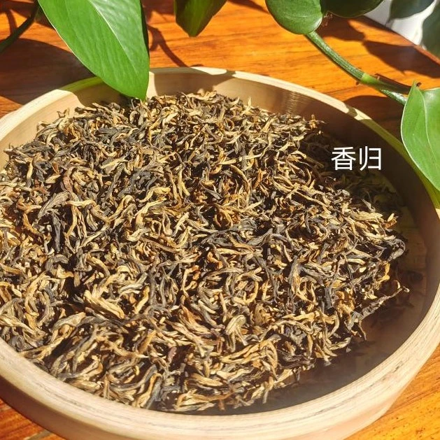 凤庆滇红 香归金丝2024头春头採