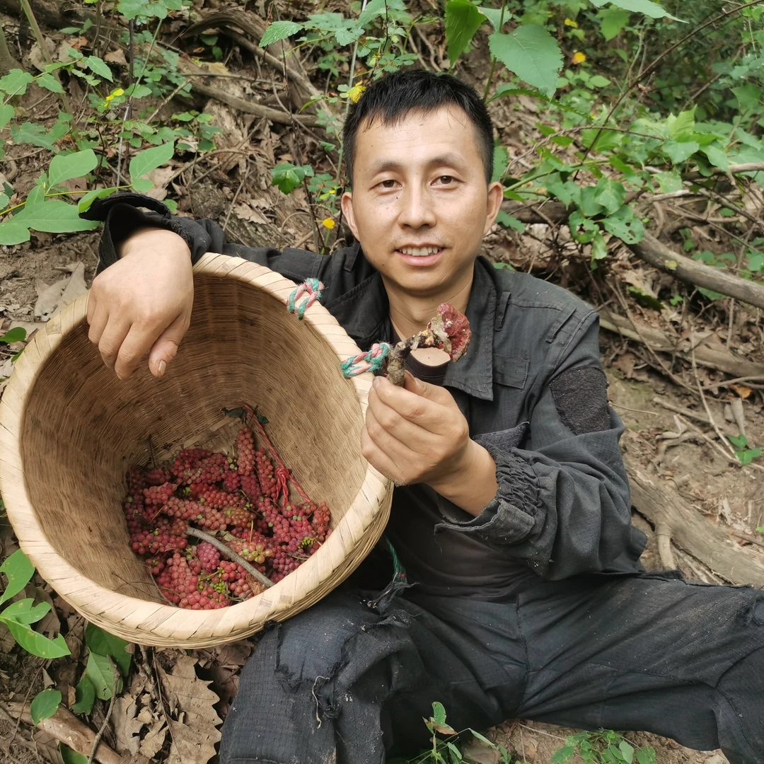 新鲜五味秤砣果新鲜水果红葡萄2斤装包邮顺丰
