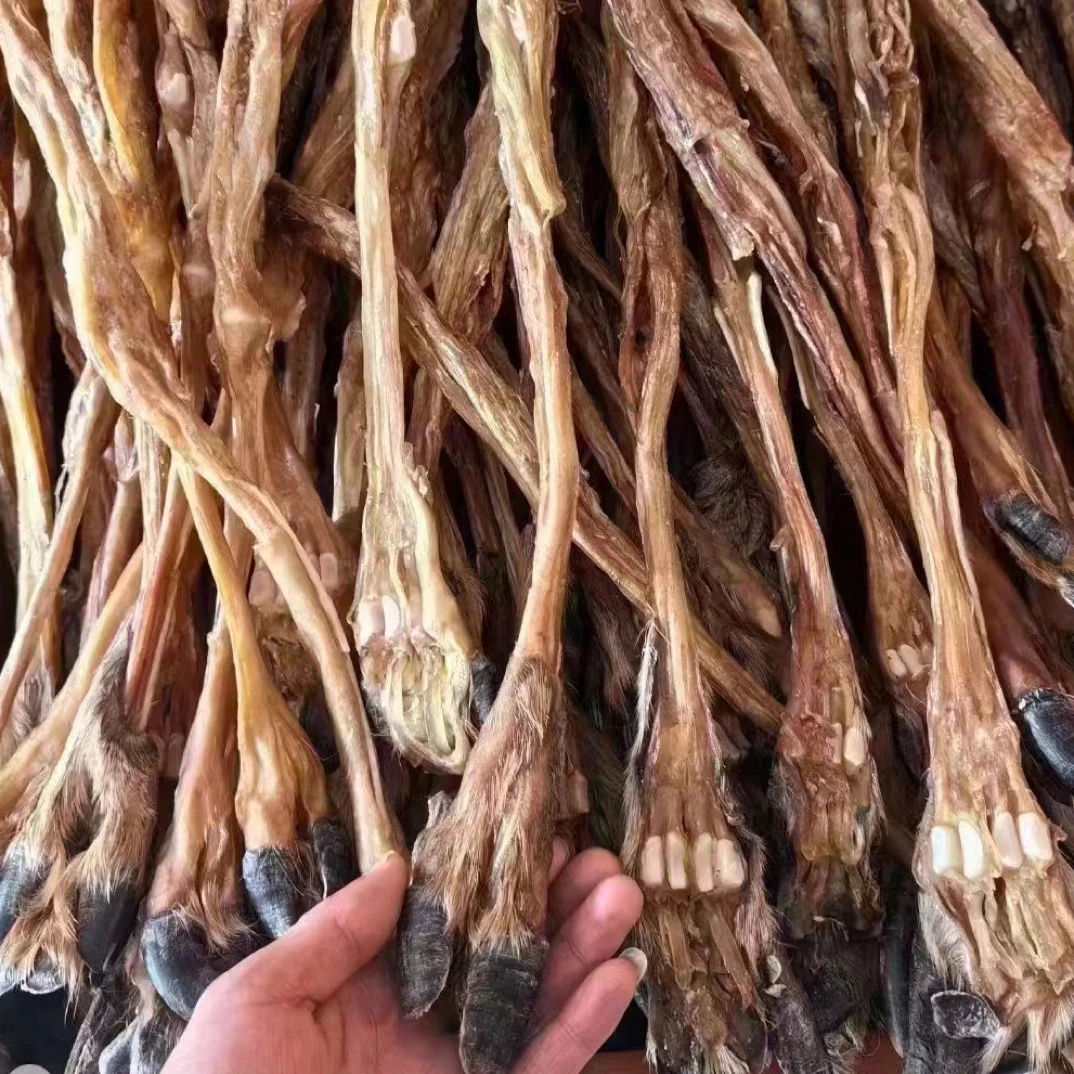 干鹿筋1根 足干 产地直发