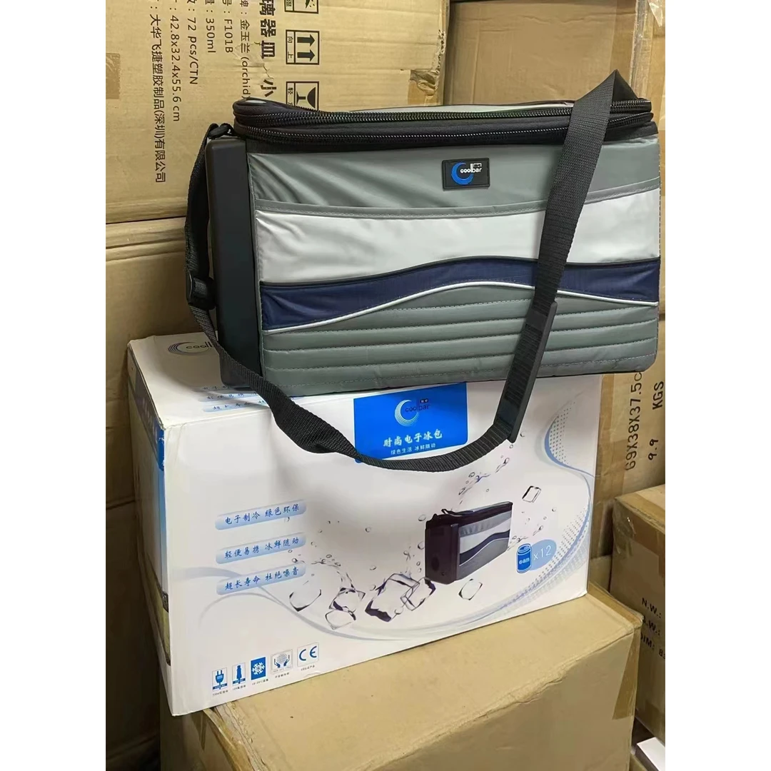 便携保冷冰包车载冰箱外卖保温防水户外