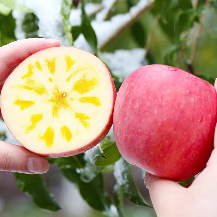 【精品果】正宗新疆阿克苏冰糖心苹果果味清甜现摘现发当季新果