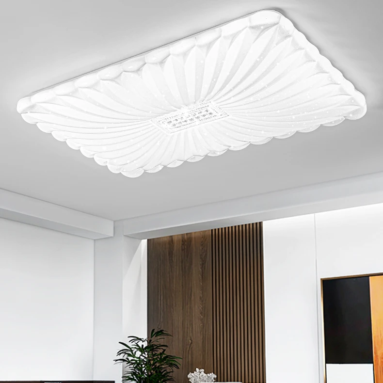 20-30平大气客厅吸顶灯2024新款花朵大厅灯主卧灯高亮LED吸顶灯