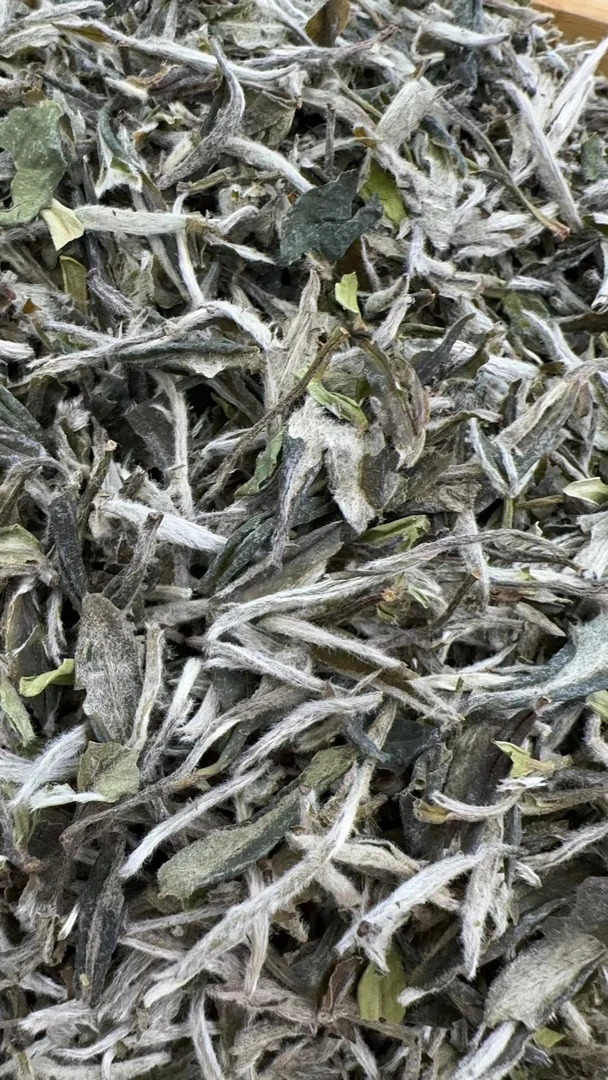 【康潮一品】福鼎白茶 蜜水兰香 2017年白牡丹 散茶 白茶