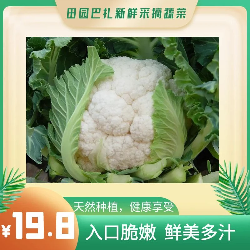 乌市包邮新鲜现采花菜香甜软糯1kg