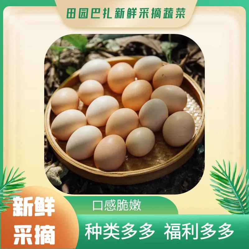 【张大专属】新鲜有机鸡蛋30-50枚