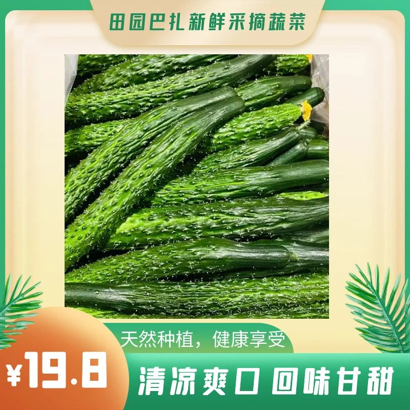 乌市包邮新鲜现采1kg有机黄瓜顶花带刺饱满水嫩口感脆爽