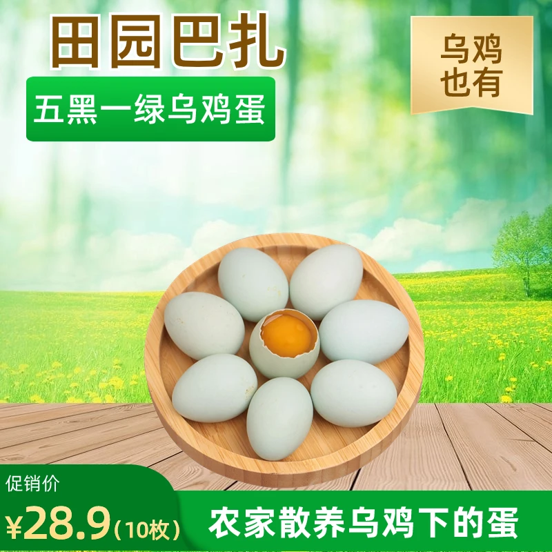 乌市包邮新鲜五黑一绿乌鸡蛋农家散养乌鸡下的蛋10枚