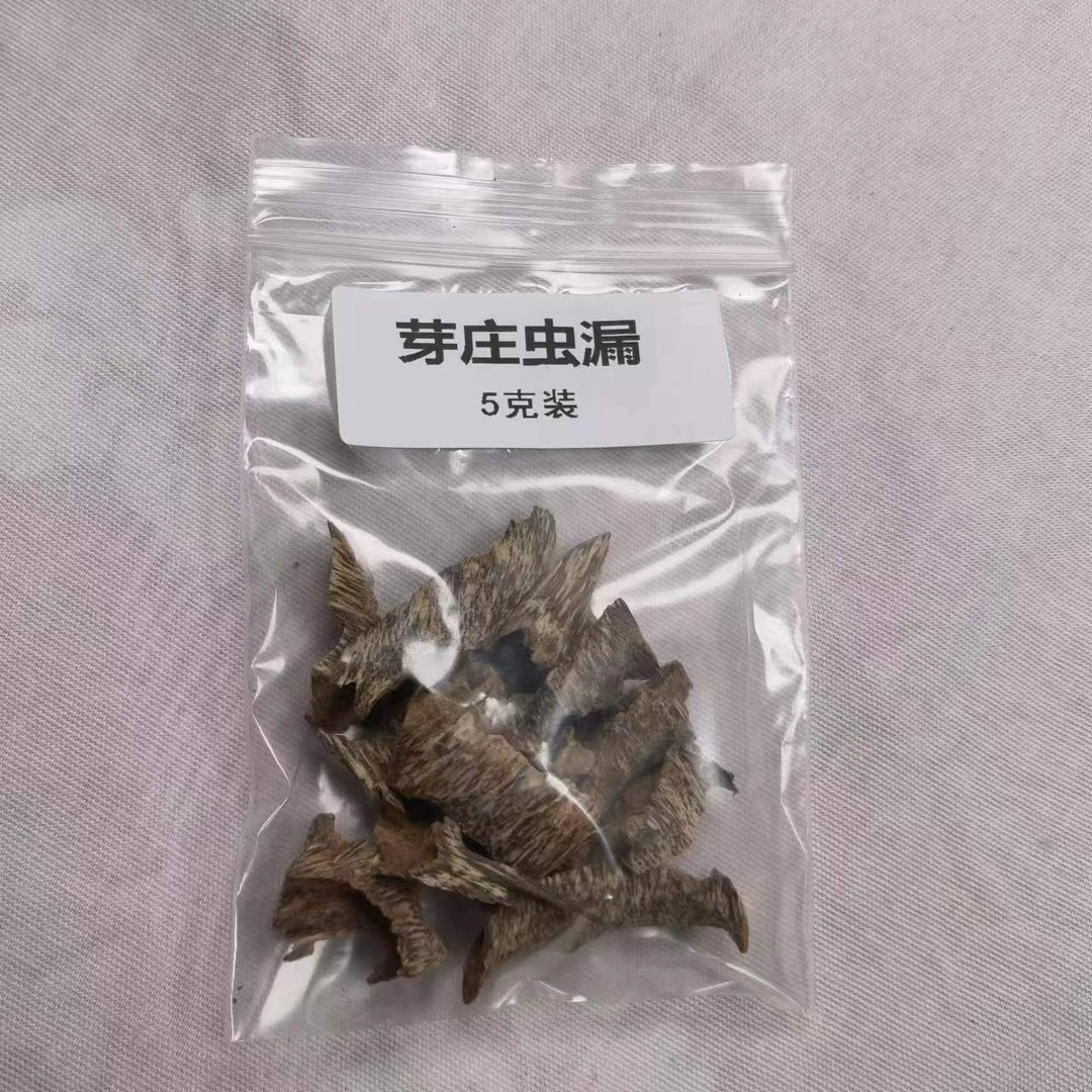 5克装   芽庄虫漏碎料（料）天然工艺摆件木艺木雕