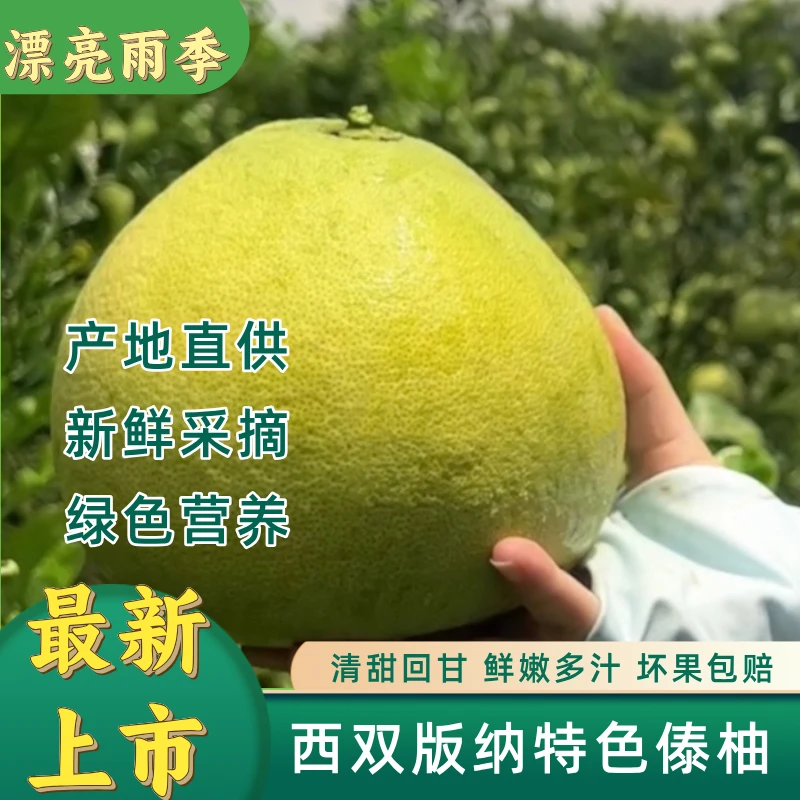 版纳柚子东试早丑柚红蜜柚傣柚送礼青柚当季孕妇水果新鲜现摘包邮
