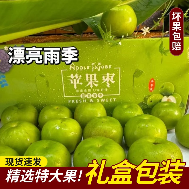 西双版纳正宗苹果枣纯甜礼盒装装送人送礼物包邮现货果园直发应季