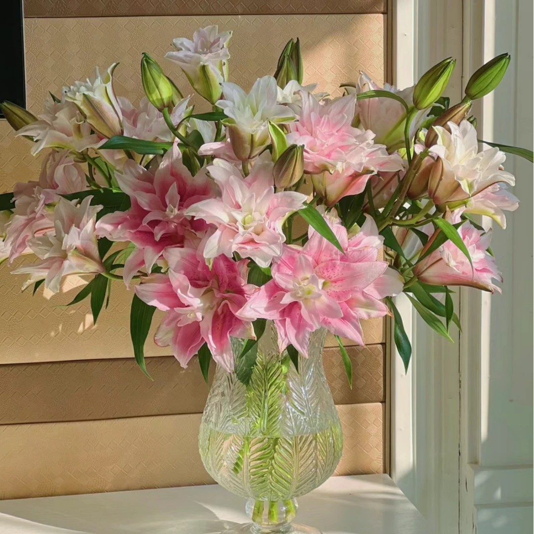 【南嫣芳华】伊莎贝拉重瓣百合鲜花