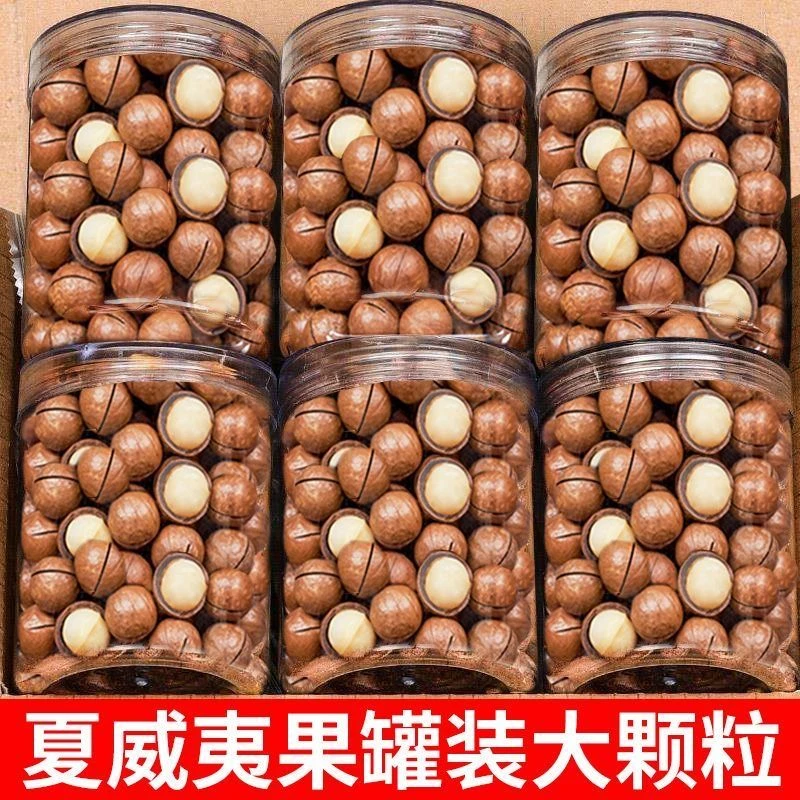 夏威装夏威夷果奶油味大颗粒每日坚果干果零食10g高品质营养奶香