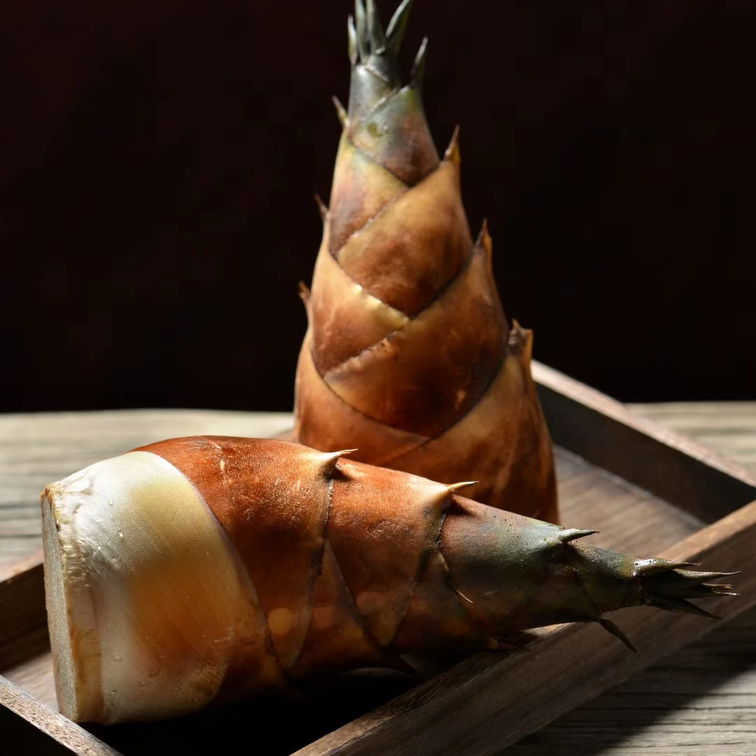 【田园古昌专属】普洱甜笋水果笋龙竹笋龙笋重庆云南甜竹笋刺身笋