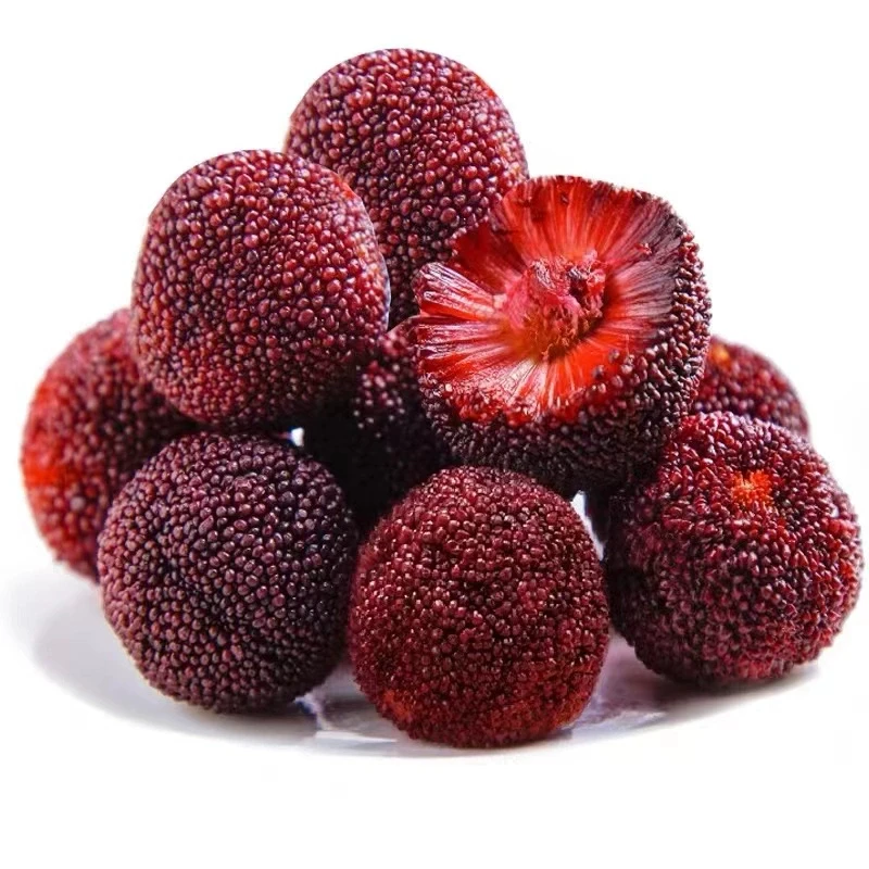 东魁杨梅树苗仙居杨梅成活容器苗盆栽地栽种植生根带土发货