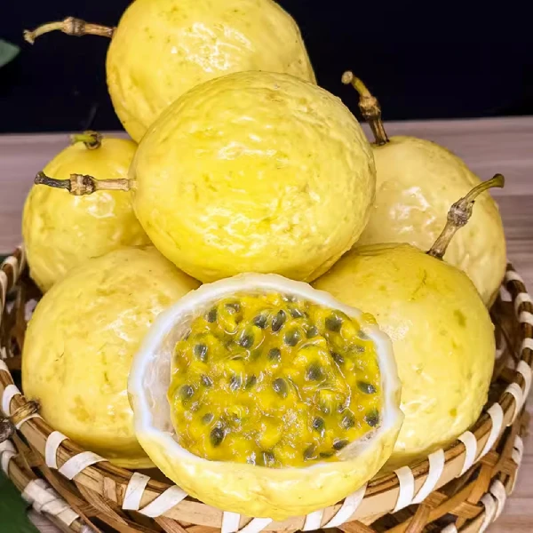 果苗哥【百香果】爬藤类植物树苗盆栽带土生根成活修剪种植发货