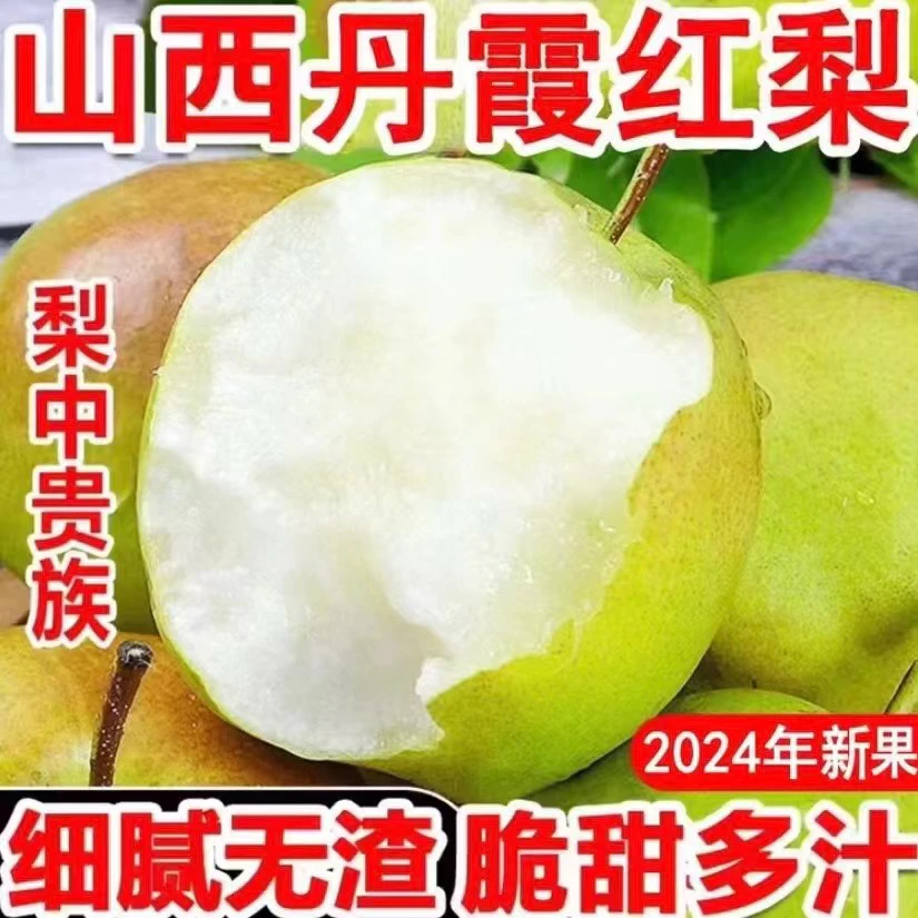 山西运城丹霞红香梨新鲜酥脆大果品质甘甜爽口口感味美细腻汁水