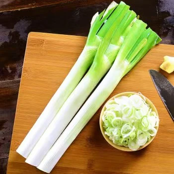 爆款推荐【现挖现发】尝鲜山东大葱批发新鲜整箱批发绿色种植