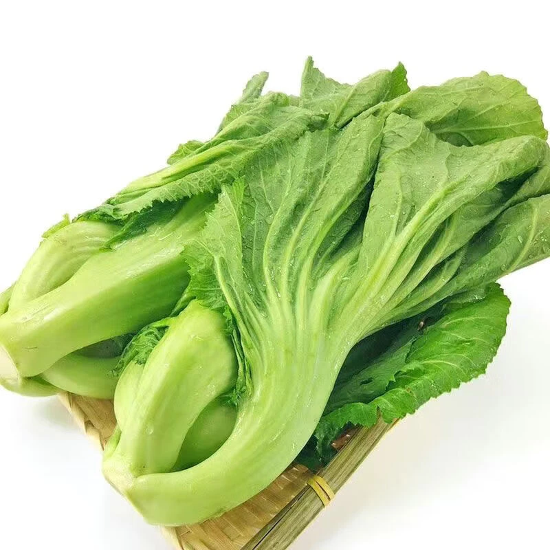 徐闻送上门-芥菜 300g-400g/颗