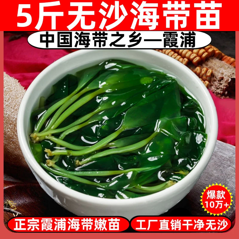福建霞浦海带苗1斤装海带嫩苗包邮裙带菜新鲜火锅非海带干货凉拌
