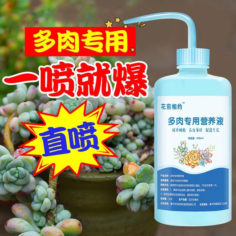 【买一送一】多肉专用肥料增肥增色室内家用盆栽花肥料氮直喷复合肥