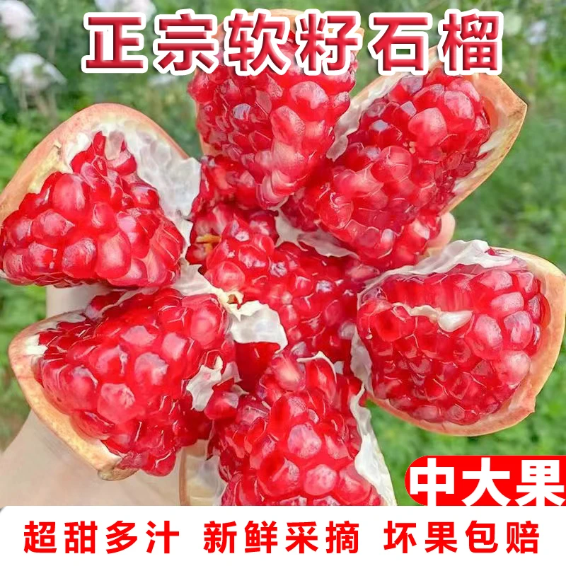 【5斤装】突尼斯软籽石榴当季现摘新鲜水果红心水晶甜石榴饱满多汁