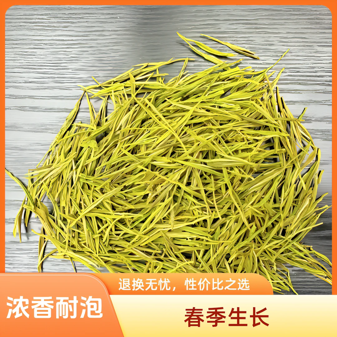 2024口粮黄金芽H11（口粮茶，浓香耐泡，栗香型）