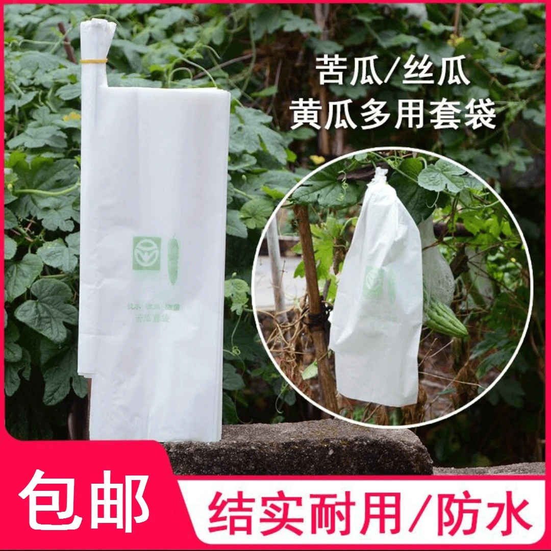 家用苦瓜丝瓜黄瓜套袋专用袋青瓜套果袋透明防虫袋纸袋套