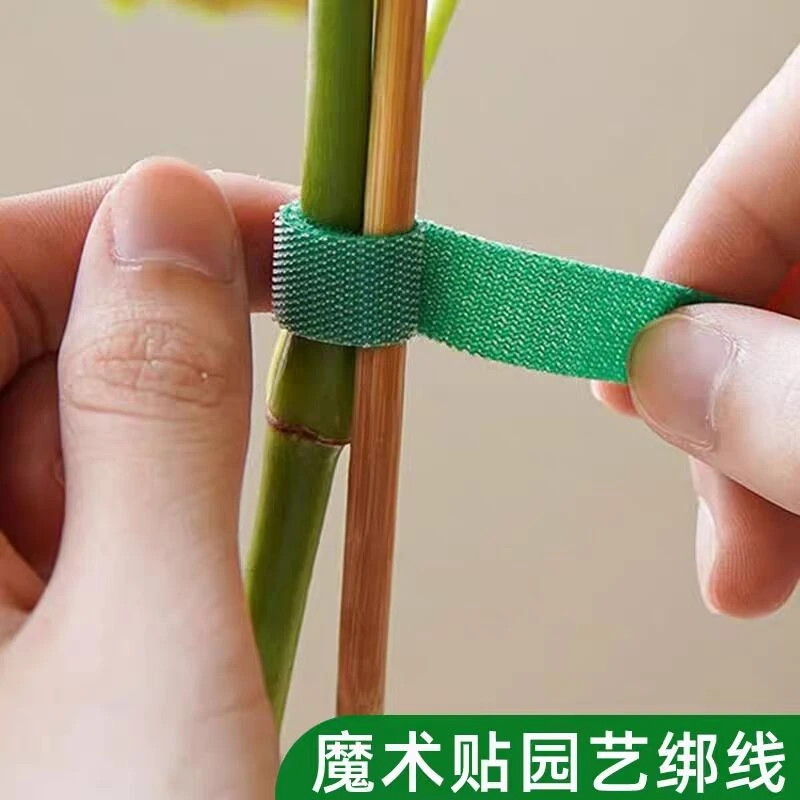 爬藤魔术贴花园带强力双面粘园艺扎线捆绑用支撑插花固定龟背竹