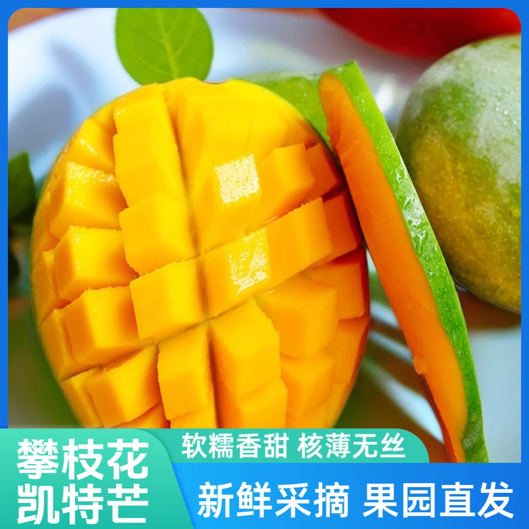 B【催熟食用】四川攀枝花凯特芒果单果500g起带箱8-9斤到手3-8个