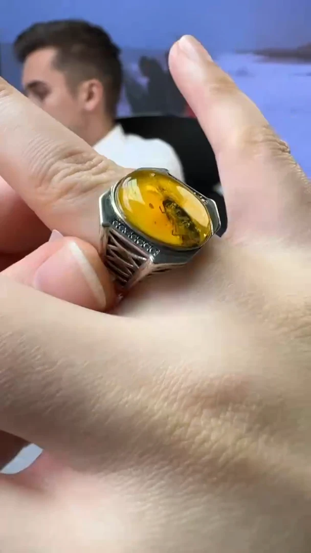 【闪购商品】琥珀戒指银S925镶嵌228多样性