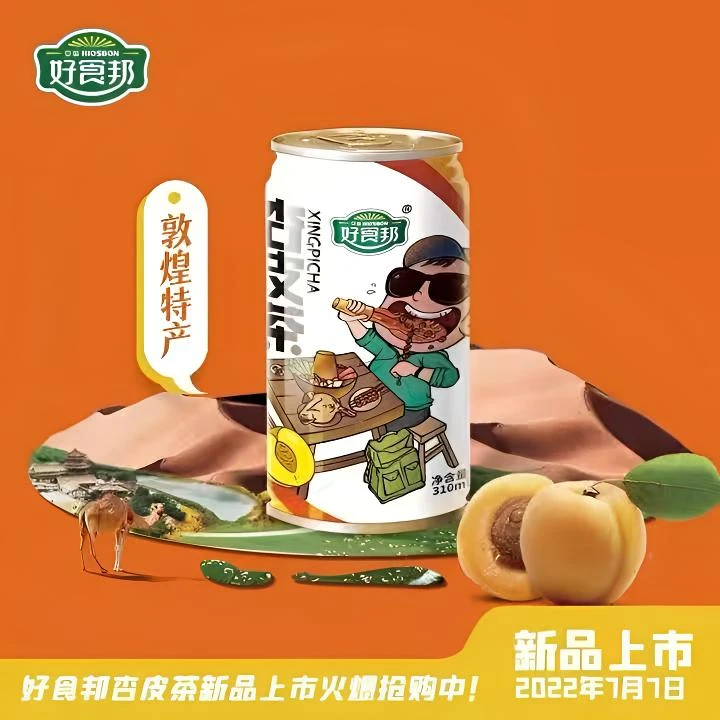 杏皮茶 特产酸甜生津解油解腻罐装310ml风味果汁饮料