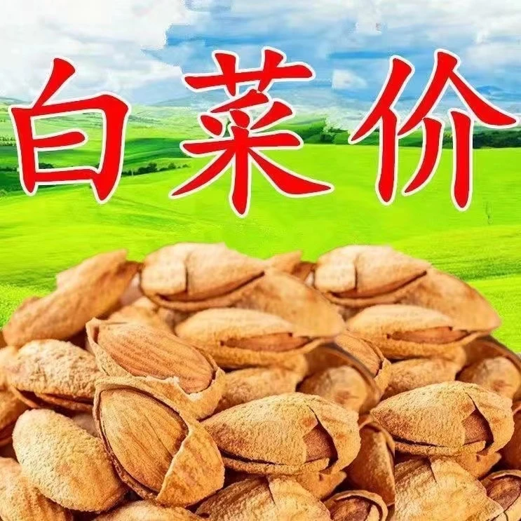 【今日特价】新货上市巴旦木含罐500g杏仁干果坚果零食大礼包10g
